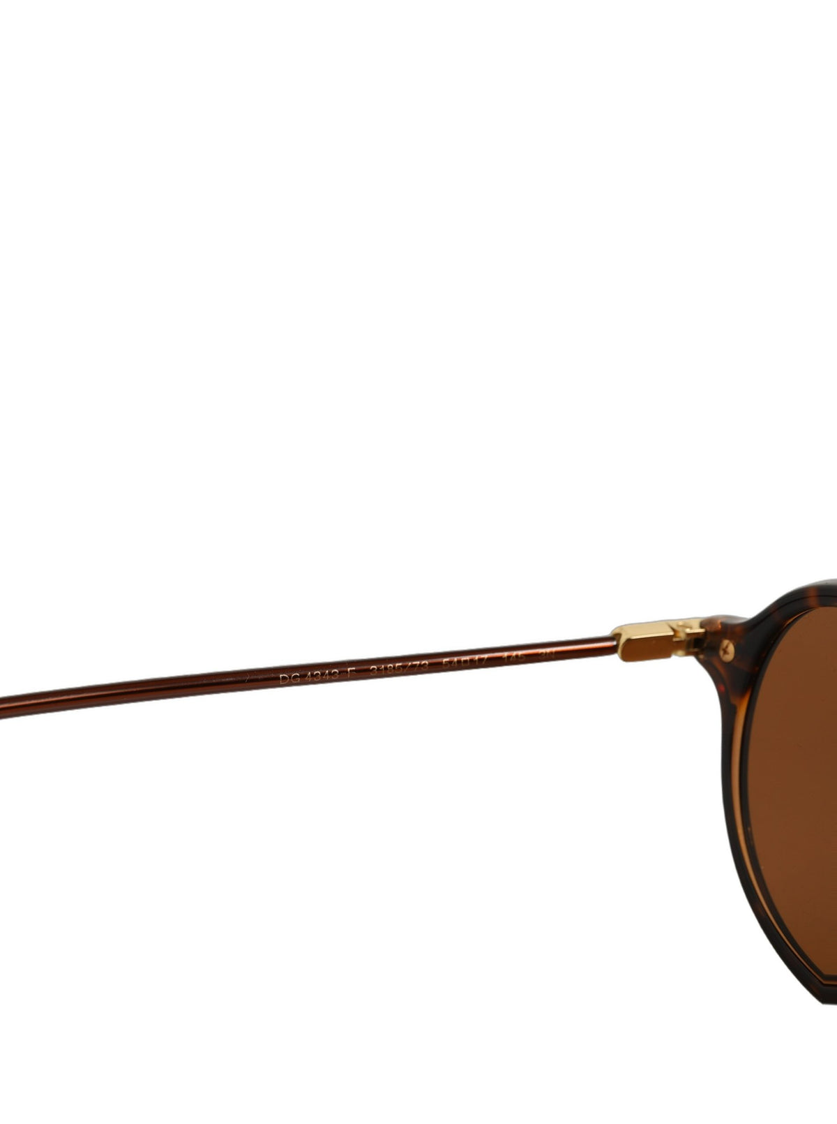 Dolce & Gabbana DG4343F Women's Brown Sunglasses
